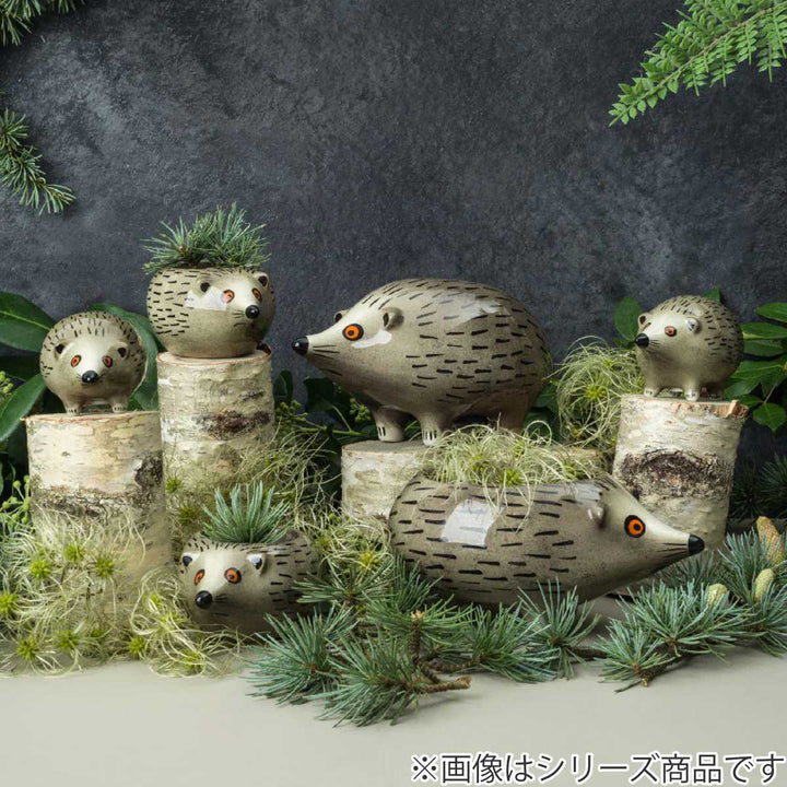 小物トレーHannahTurnerハリネズミ