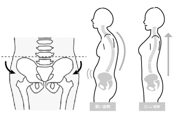 骨盤サポーターWETECH腰部骨盤用M～XL