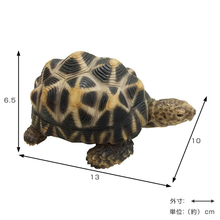 オブジェインドホシガメペットバンク貯金箱