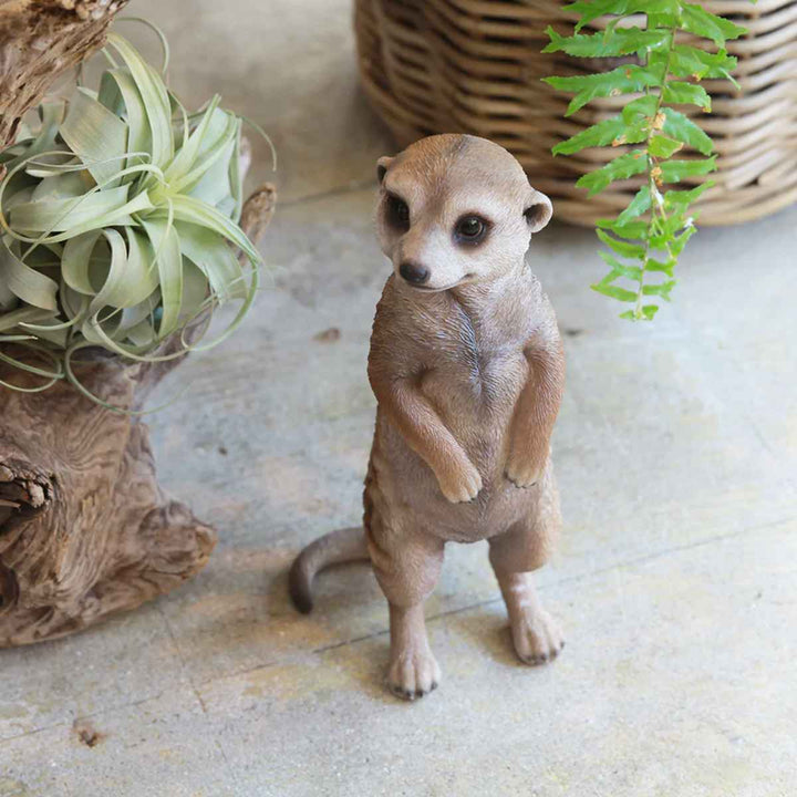 オブジェミーアキャットペットバンク貯金箱