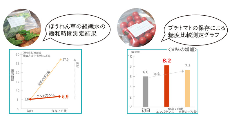 EMBALANCE保存容器1.1Lプッシュアップコンテナ