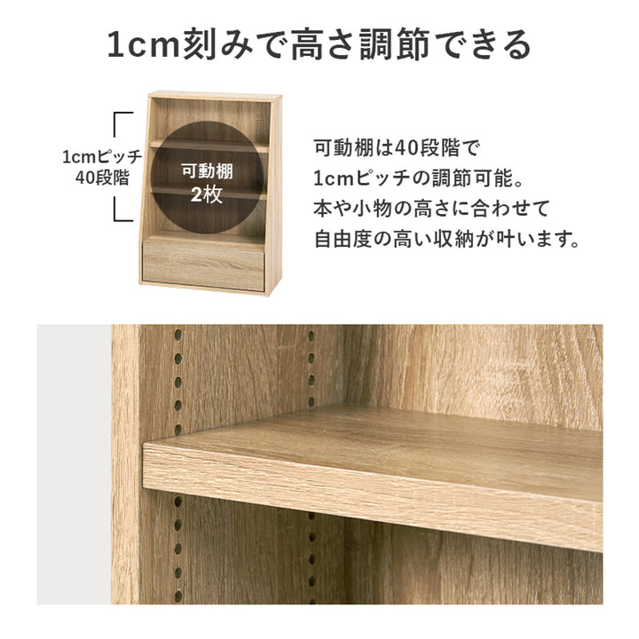 1cmピッチ可動本棚幅60cmロータイプ可動棚2枚引出し付