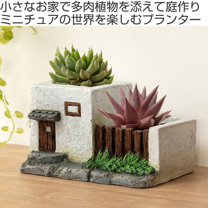 プランターグリーンポット植木鉢多肉植物Bタイプ