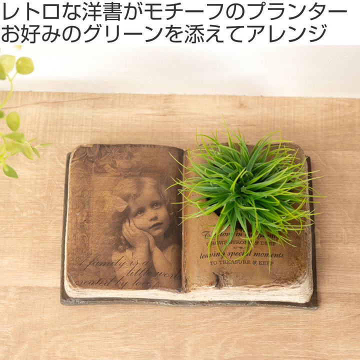 プランターグリーンポット植木鉢多肉植物ブック