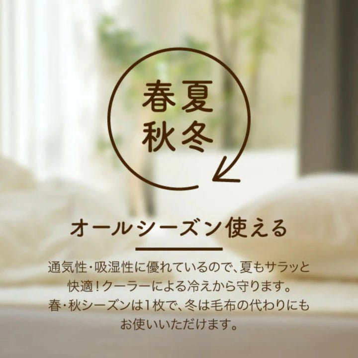 タオルケットシングルV&A綿100％洗濯OK