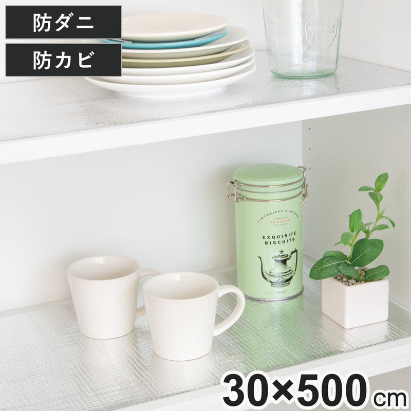 ダニ 食器 コレクション