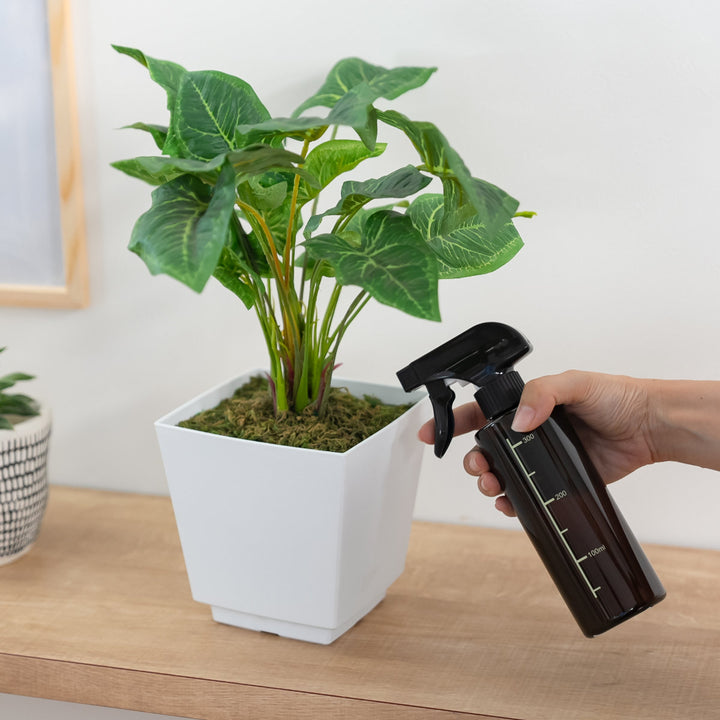 スプレーボトル300mlPET霧吹き