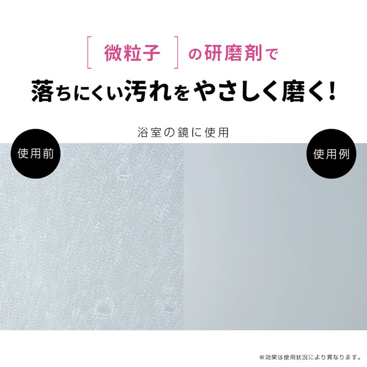 洗剤業務用スカッと浴室クレンザー研磨剤配合200g