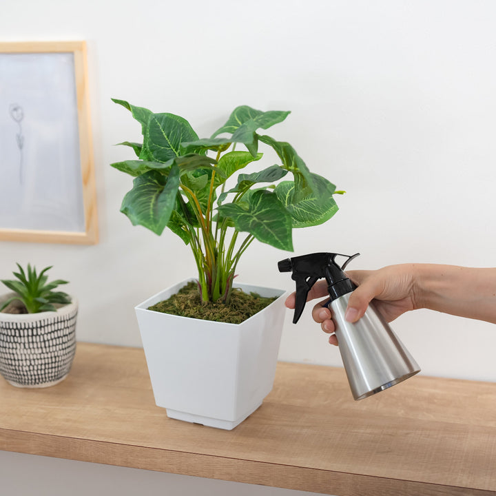 スプレーミッテ霧吹き