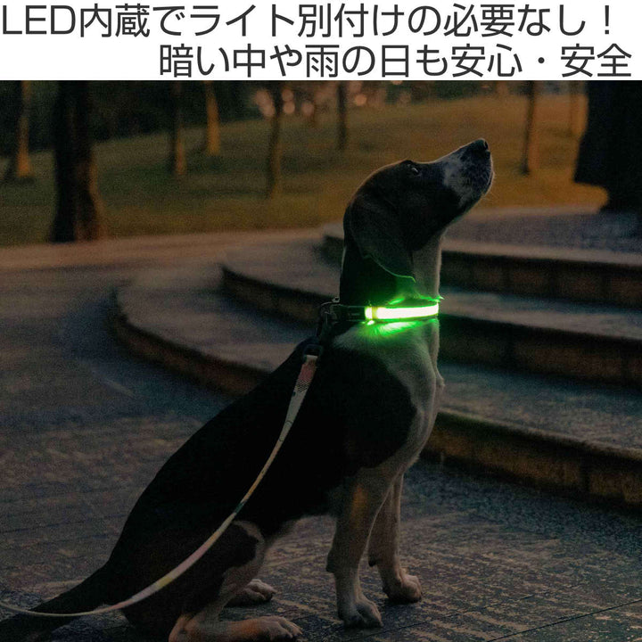 首輪光るドッグネスLED首輪L