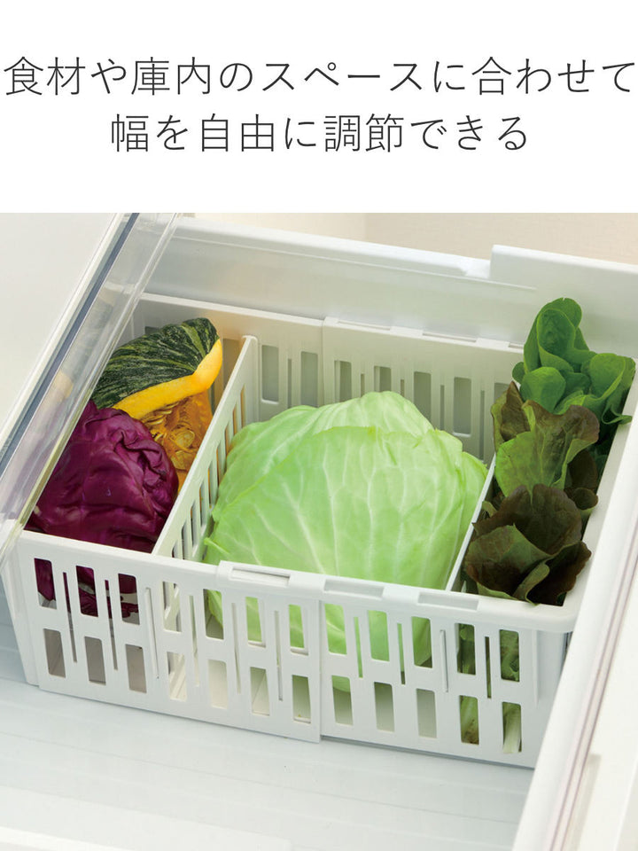 冷蔵庫収納トトノ野菜・冷凍庫伸縮ストッカー深型レギュラー