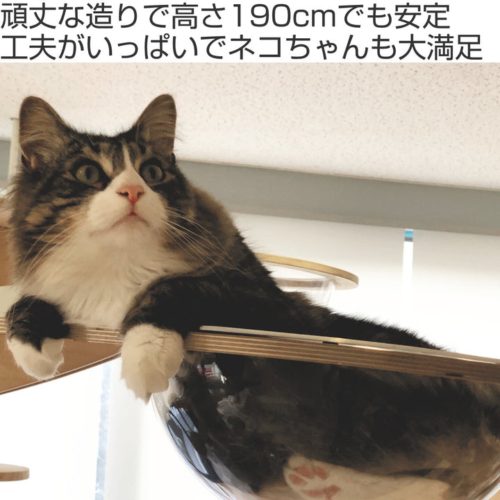 キャットタワーねこぞくスカイタワー木製据え置き