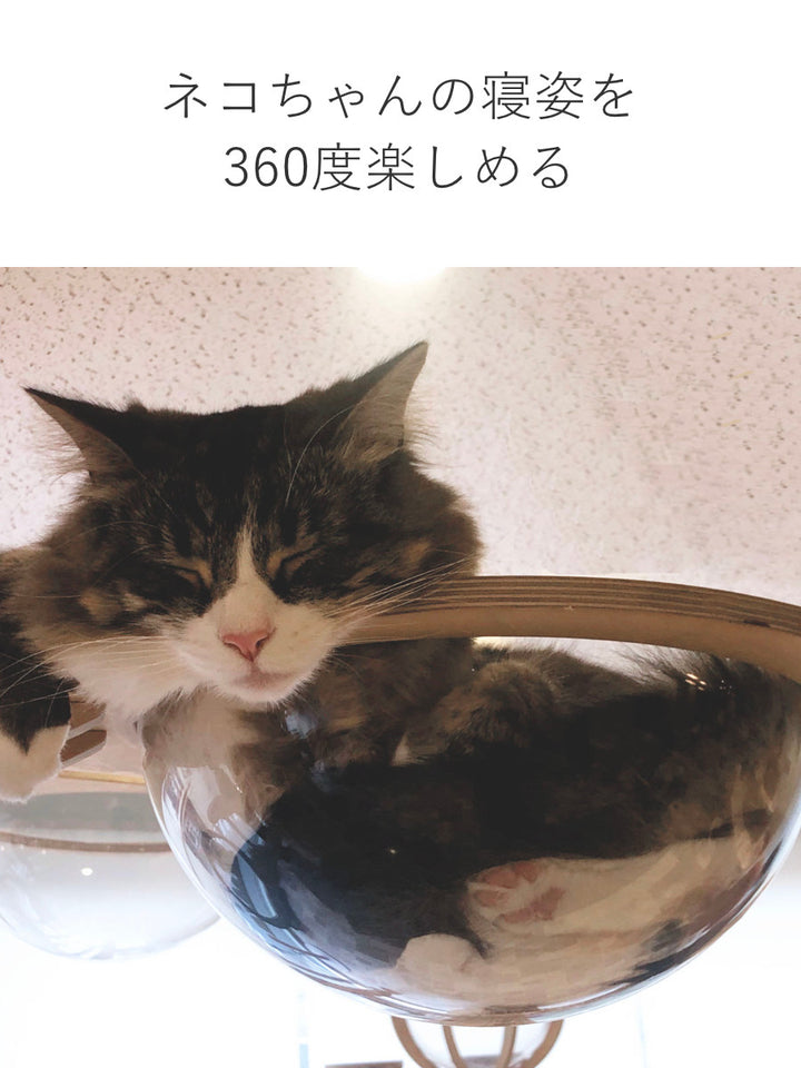 キャットタワーねこぞくスカイタワー木製据え置き