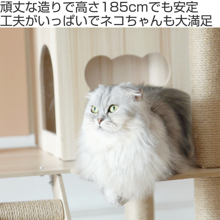 キャットタワーねこぞくポルカ木製据え置き