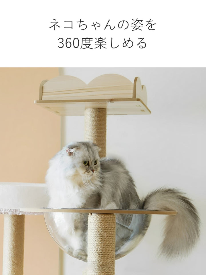 キャットタワーねこぞくポルカ木製据え置き