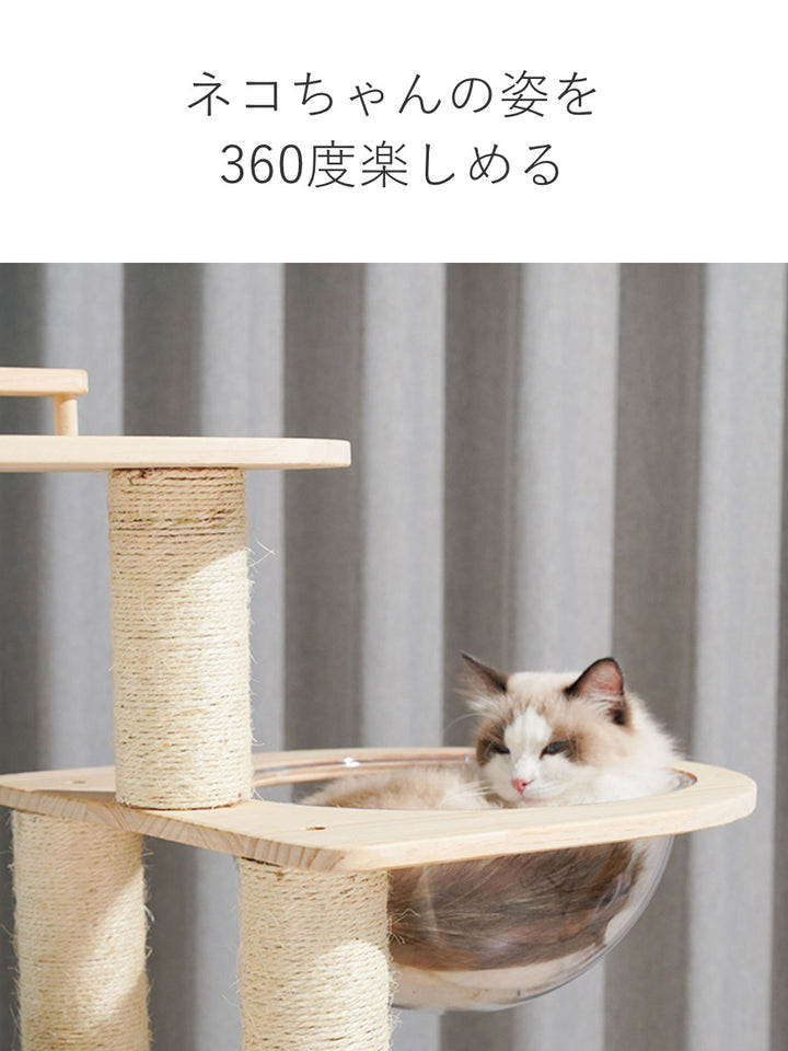 キャットタワーねこぞくツインタワー木製据え置き