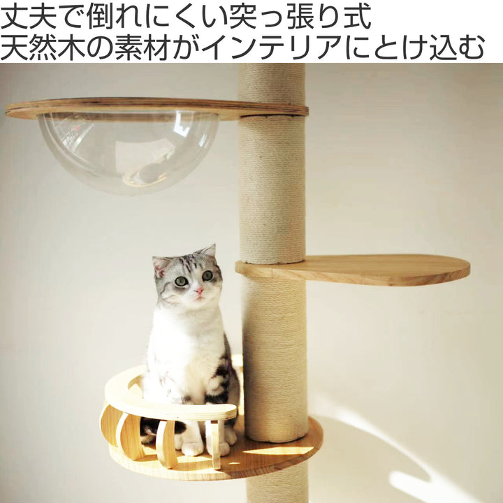 キャットタワーねこぞくパスピエ木製突っ張りスリム