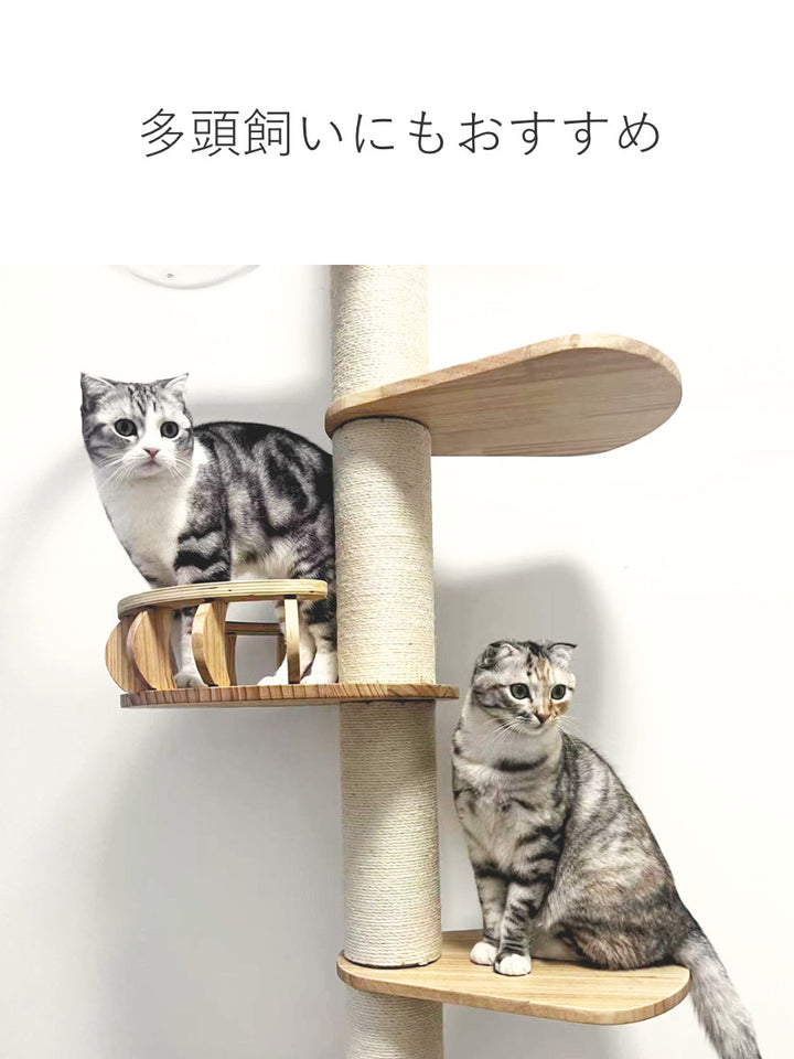 キャットタワーねこぞくパスピエ木製突っ張りスリム