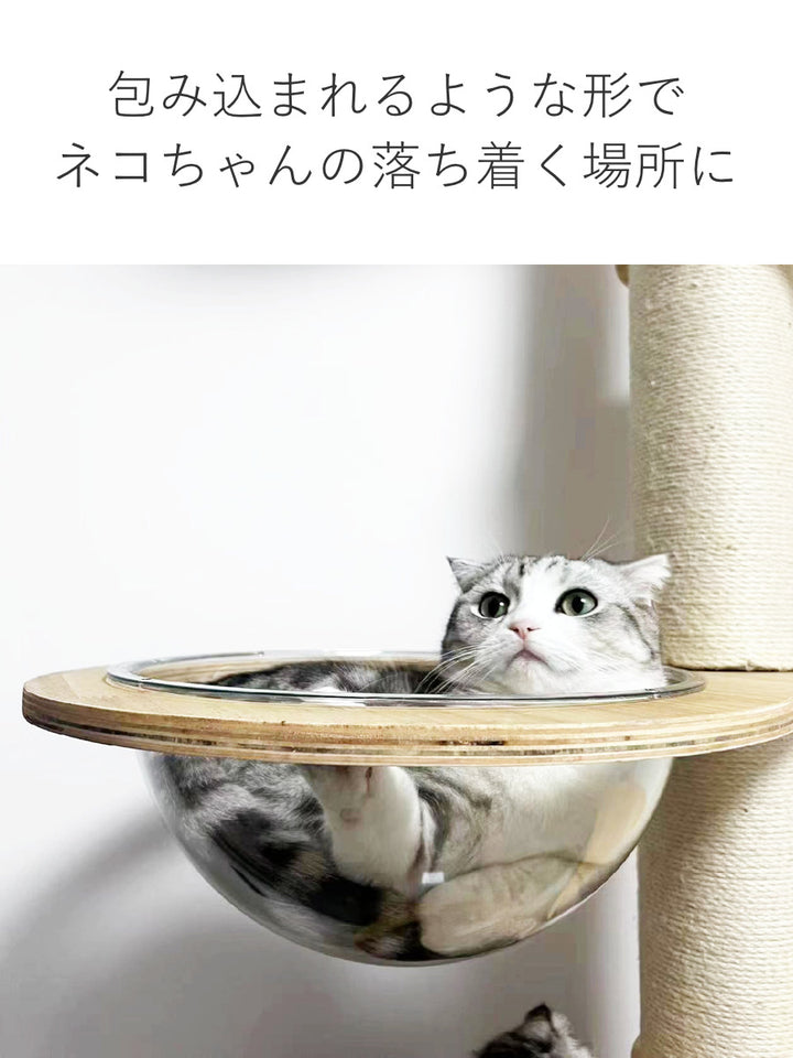 キャットタワーねこぞくパスピエ木製突っ張りスリム