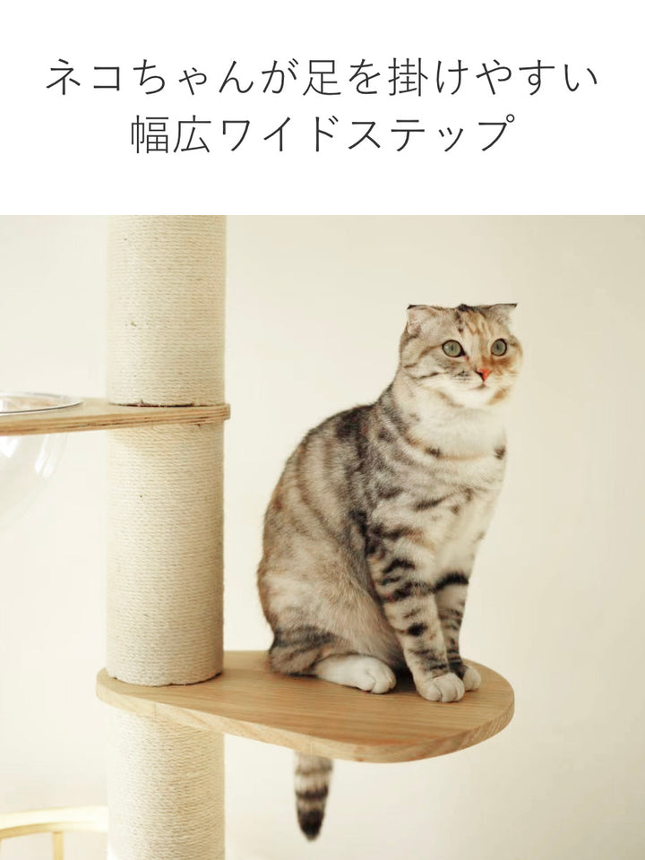 キャットタワーねこぞくパスピエ木製突っ張りスリム