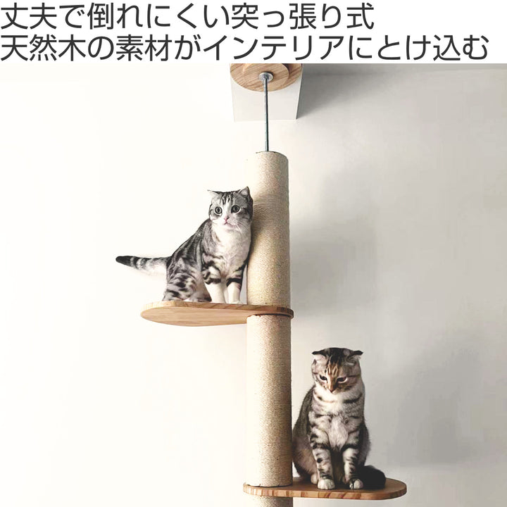 キャットタワーねこぞくブーレ木製突っ張りスリム