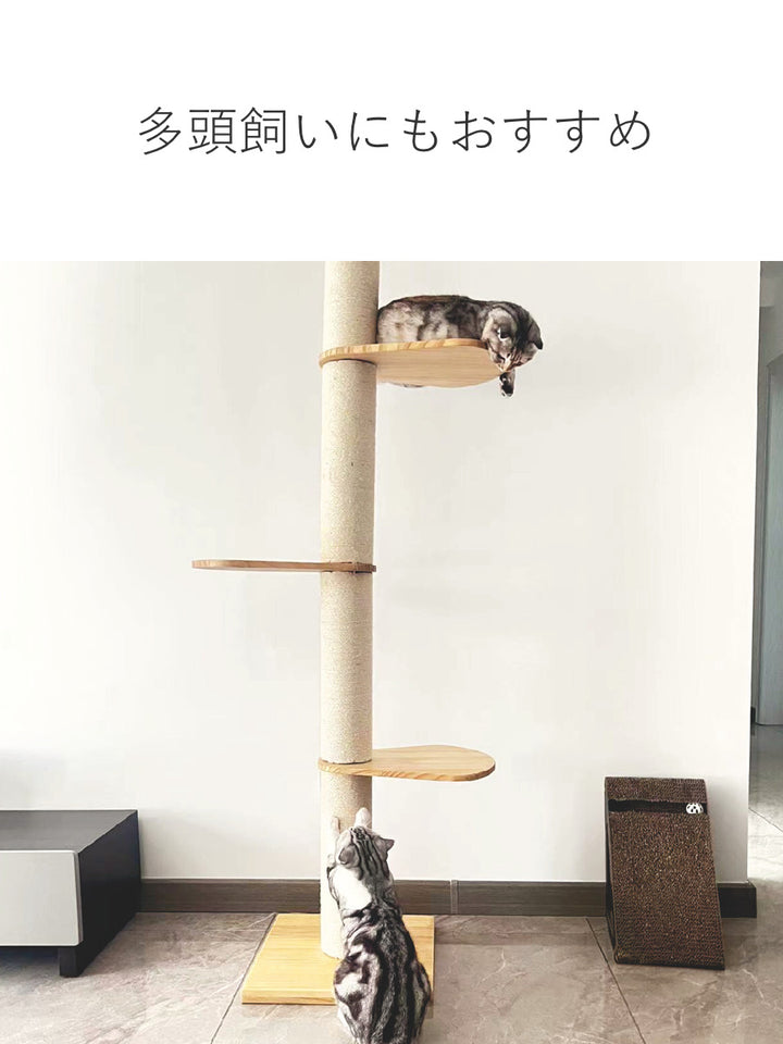 キャットタワーねこぞくブーレ木製突っ張りスリム