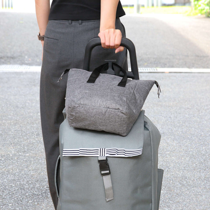 ショッピングカートcocoroルシアスタンダードカート