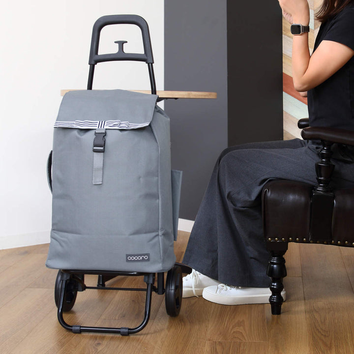 ショッピングカートcocoroルシアスタンダードカート