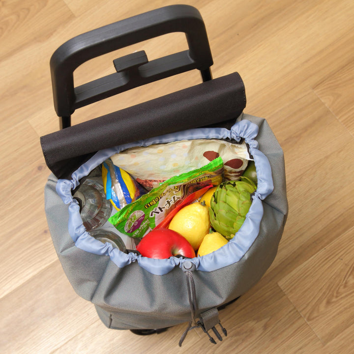 ショッピングカートcocoroルシアスタンダードカート