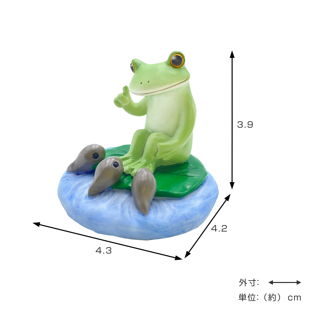 コポー 特別レッスン カエル 置物 – ハウジー