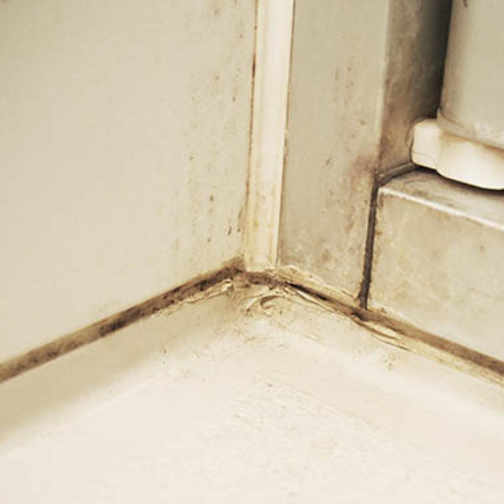 カビ取りピンクのふんばるカビとり110番約100g