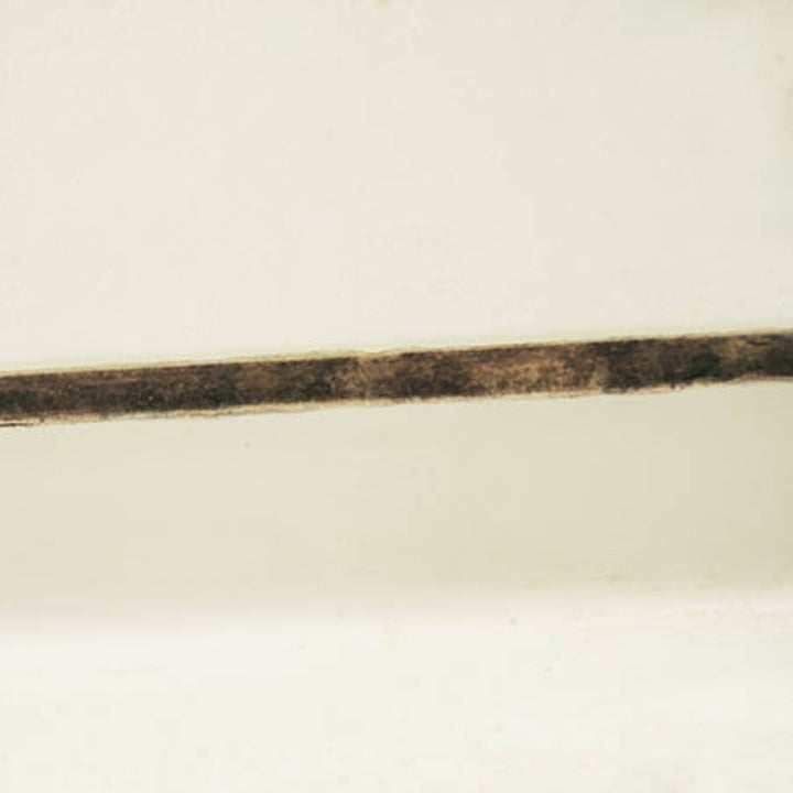 カビ取りピンクのふんばるカビとり110番約100g