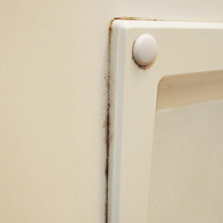 カビ取りピンクのふんばるカビとり110番約100g