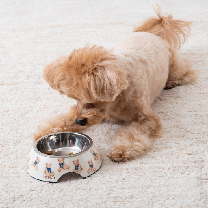 フードボウルSペット食器