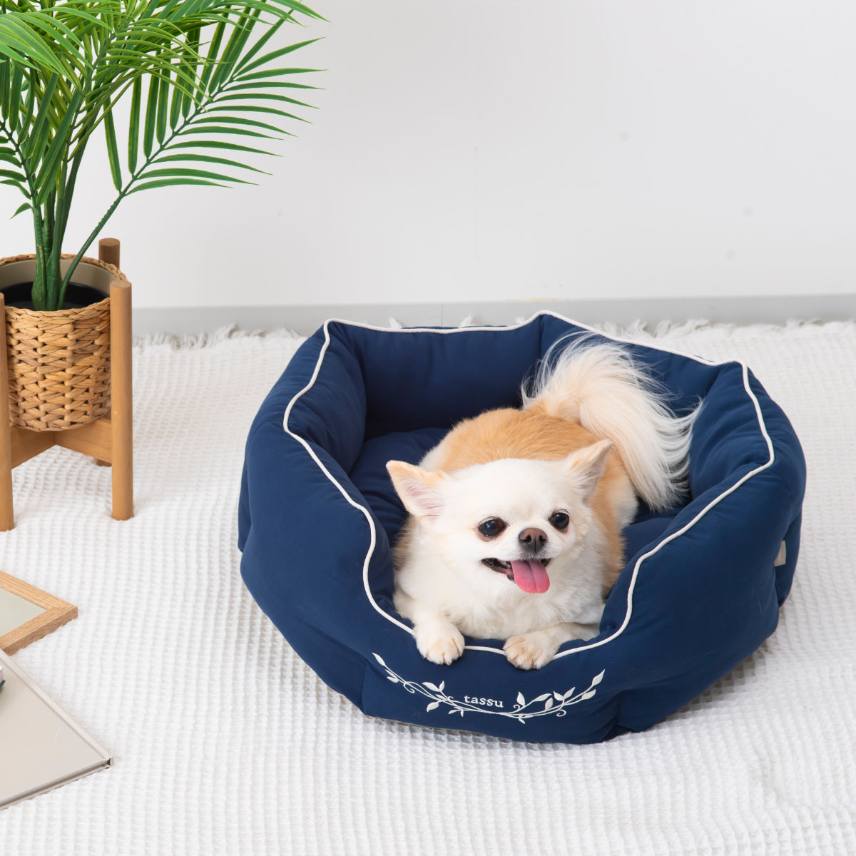 NEIGHBORHOOD CIRCLE DOG BED ネイバーフッド 犬ベッド NEIGHBORHOOD CIRCLE DOG BED ネイバーフッド 犬ベッド 犬ベッド