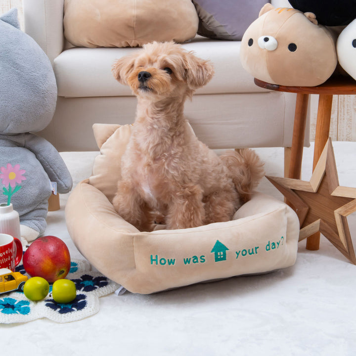 ペットベッドおかえりベッドS