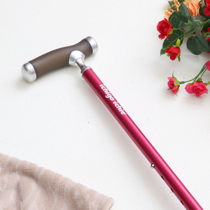 杖自立式伸縮もっちートリプルサスペンションシリコングリップASG-G3