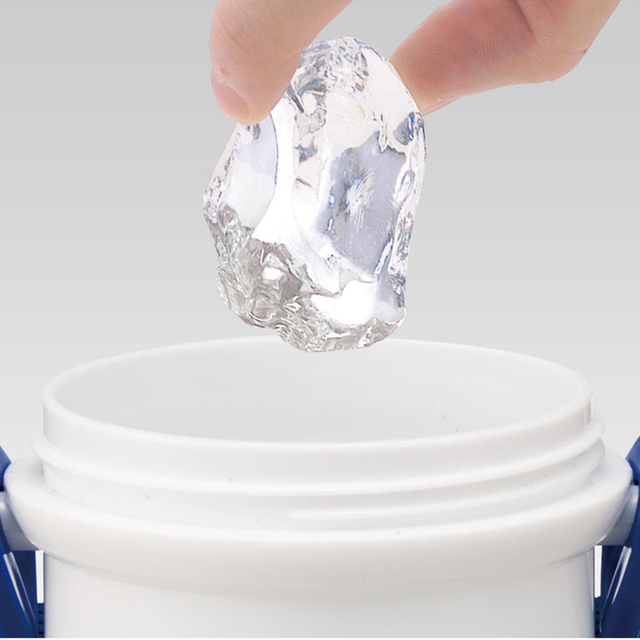 水筒480ml抗菌直飲プラボトルドナルドダック