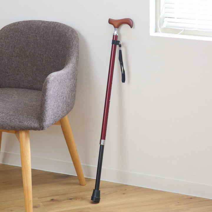 杖伸縮タイプ愛杖Eシリーズ太杖アルミスリムネック