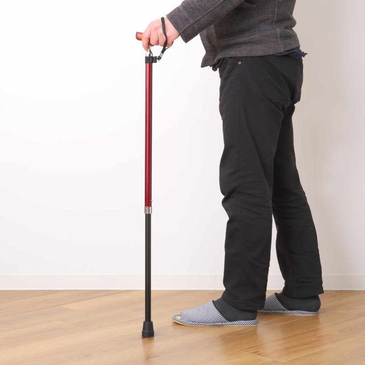 杖伸縮タイプ愛杖Eシリーズ太杖アルミスリムネック