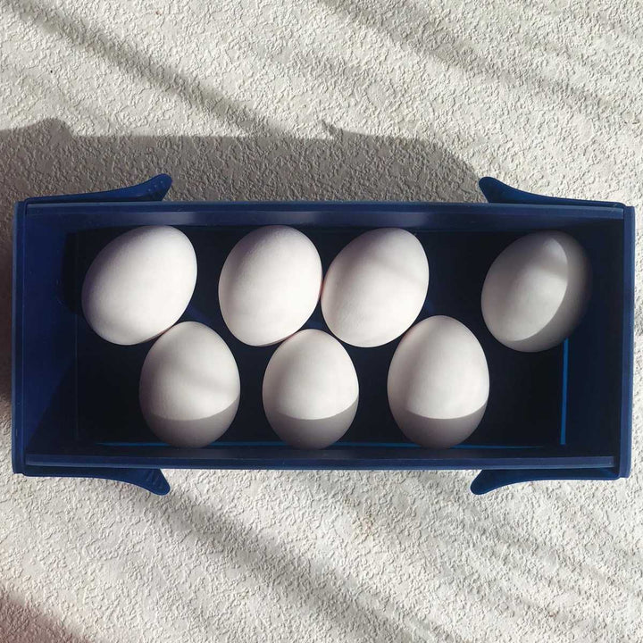 ケーキ型coox洗いやすいたためる焼き型M