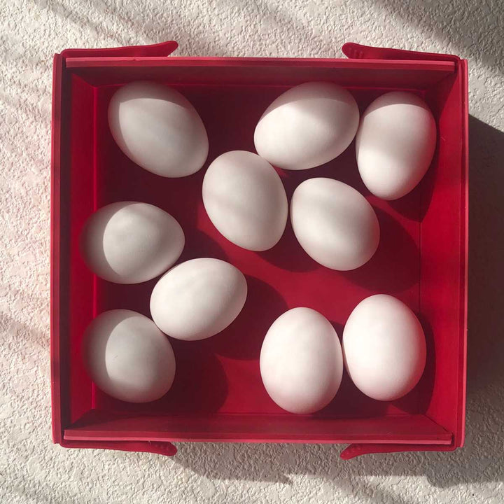 ケーキ型coox洗いやすいたためる焼き型SQ