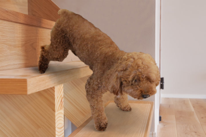 階段マットペット透明階段マット滑り止め