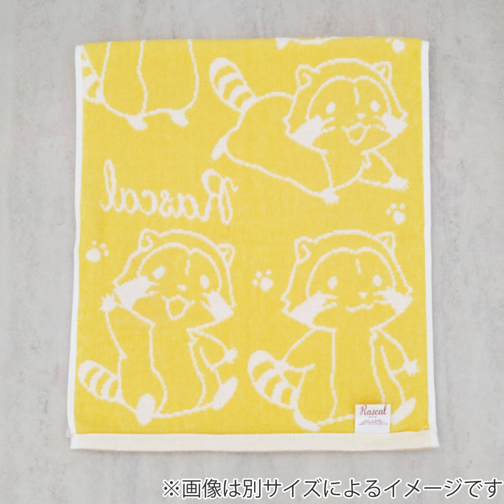 ハンドタオル絵本キャラクター無撚糸34×35cm