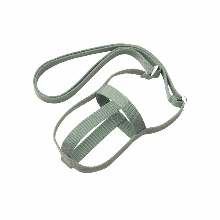 アッシュグリーン