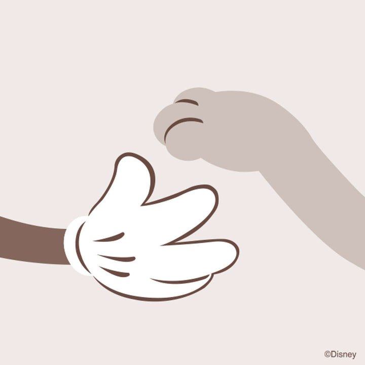 線香ディズニーインセンスかおりでおはようただいまおやすみ