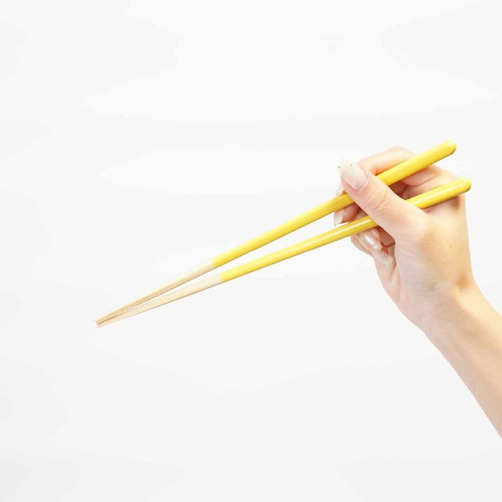 ほんとうにすべらないお箸23cmマイルドHSS-101