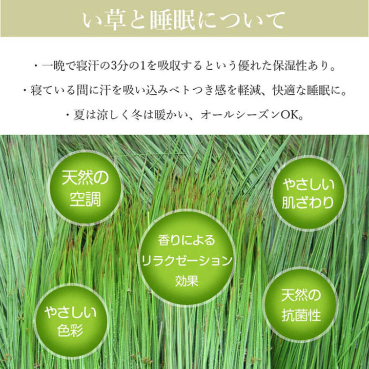 畳ベッドシングル引出し2杯小上がりシンプル