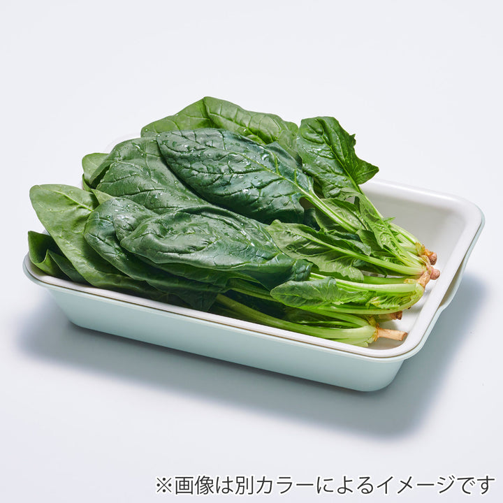 バット＆ザルワイド3点セット抗菌電子レンジ対応日本製