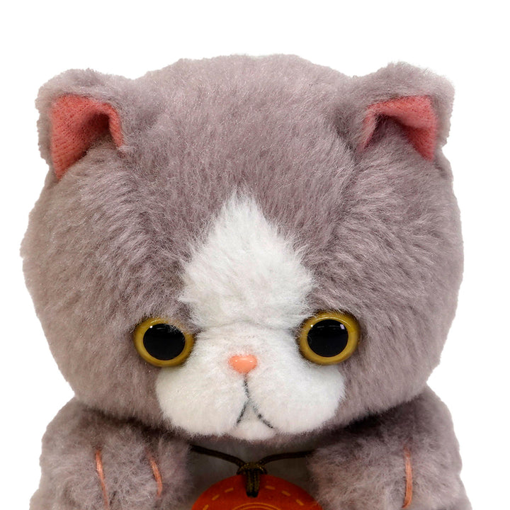 ぬいぐるみpotteエキゾチックショートヘア